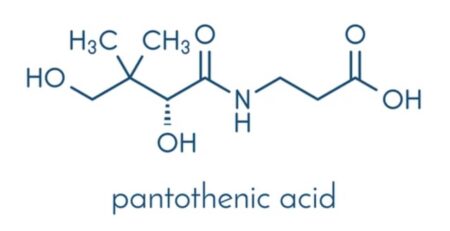Pantothenic Acid Deficiency and Its Impact on Ketosis - VitaminMD