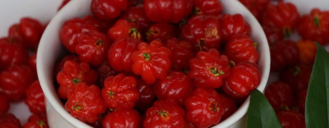 Unveiling the Power of Acerola - The Acerola Benefits - Vitamin MD