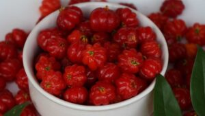 Unveiling the Power of Acerola - The Acerola Benefits - Vitamin MD